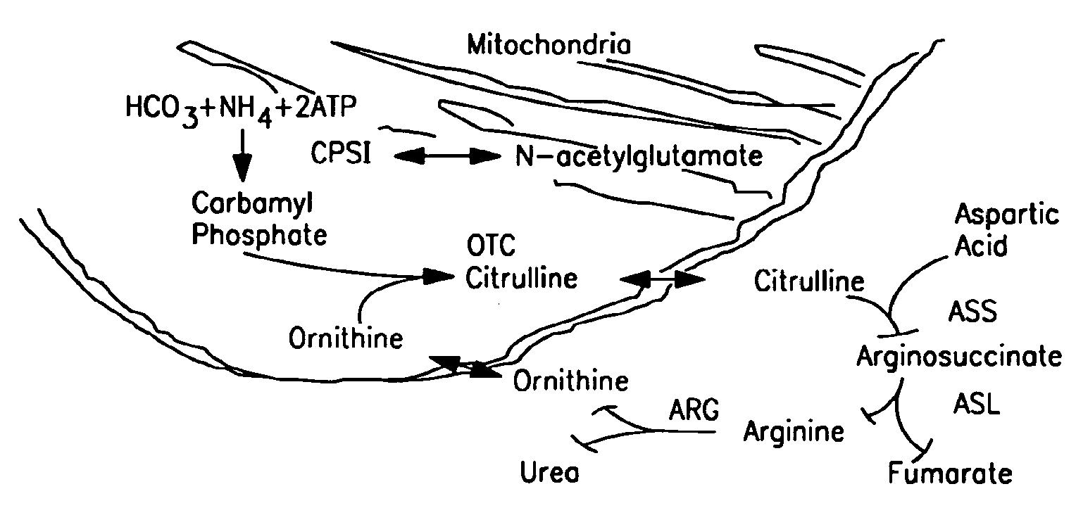 Therapeutic methods employing nitric oxide precursors