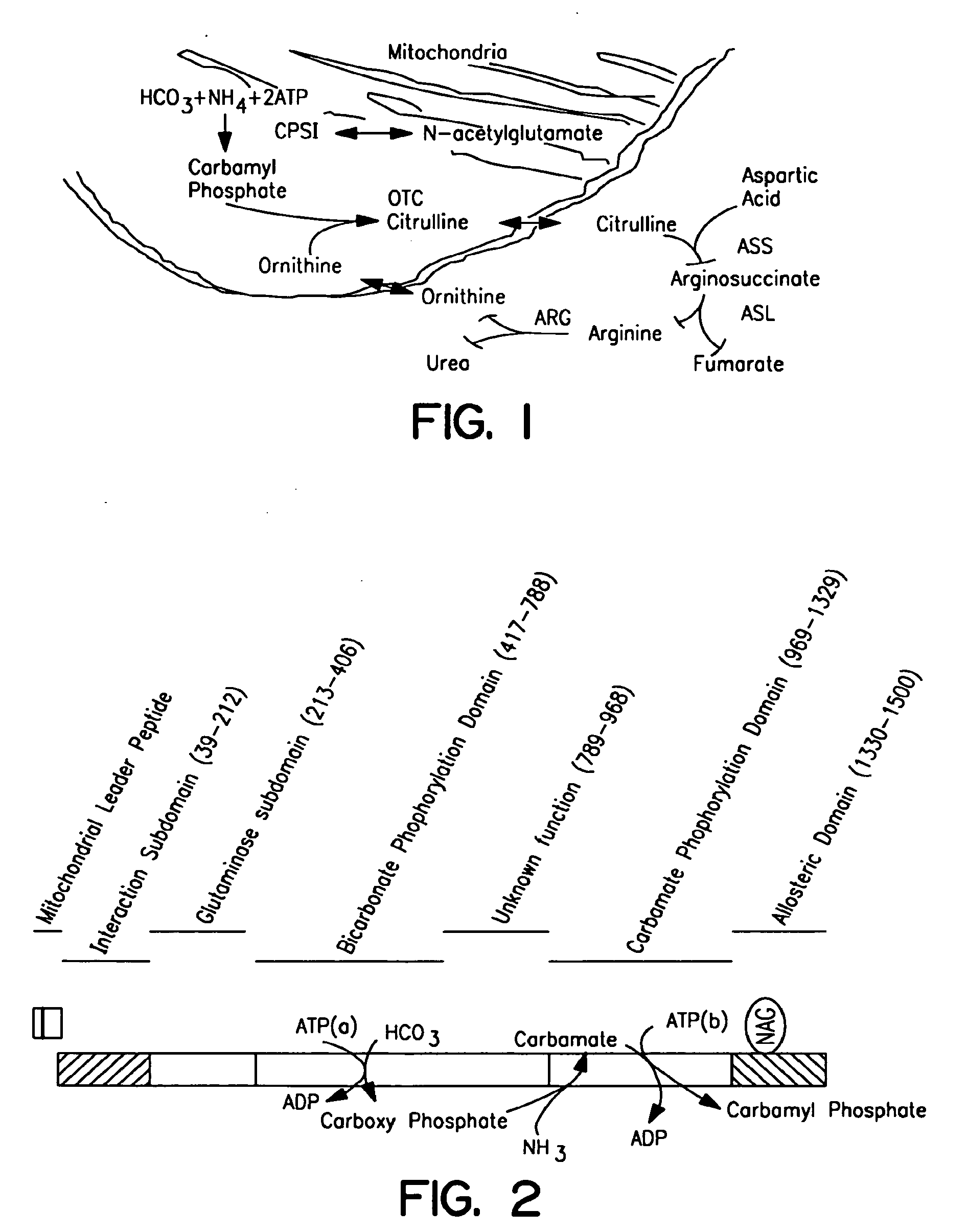 Therapeutic methods employing nitric oxide precursors