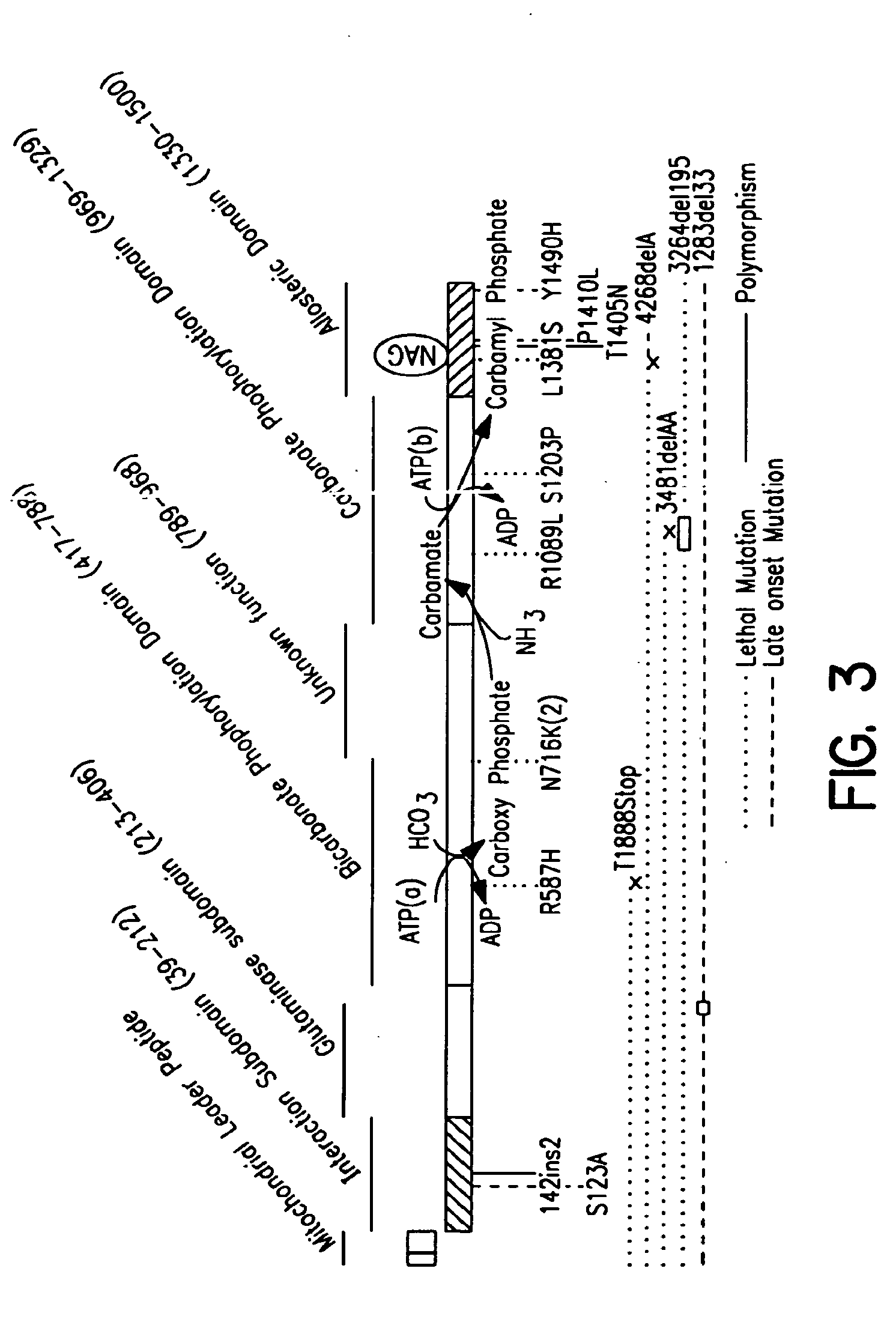 Therapeutic methods employing nitric oxide precursors