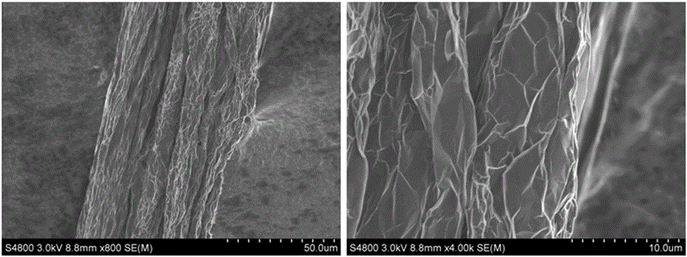 Graphene-magnesium composite fiber and preparation method thereof