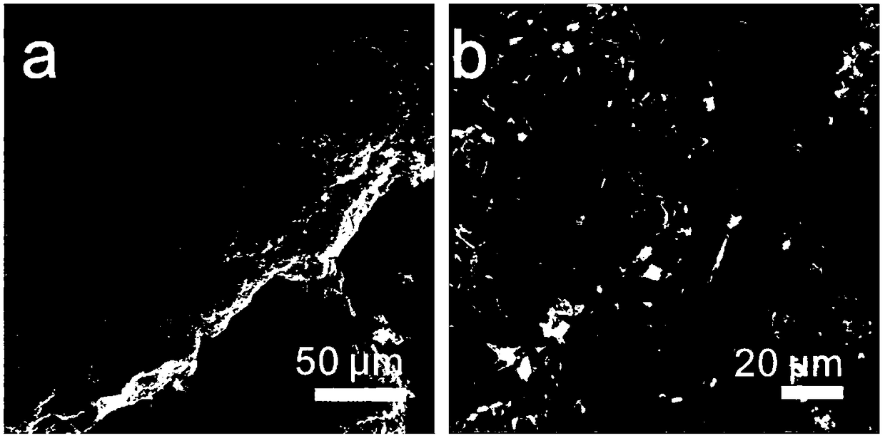 Preparation method and application of metal phosphide porous frame/graphene composite fiber