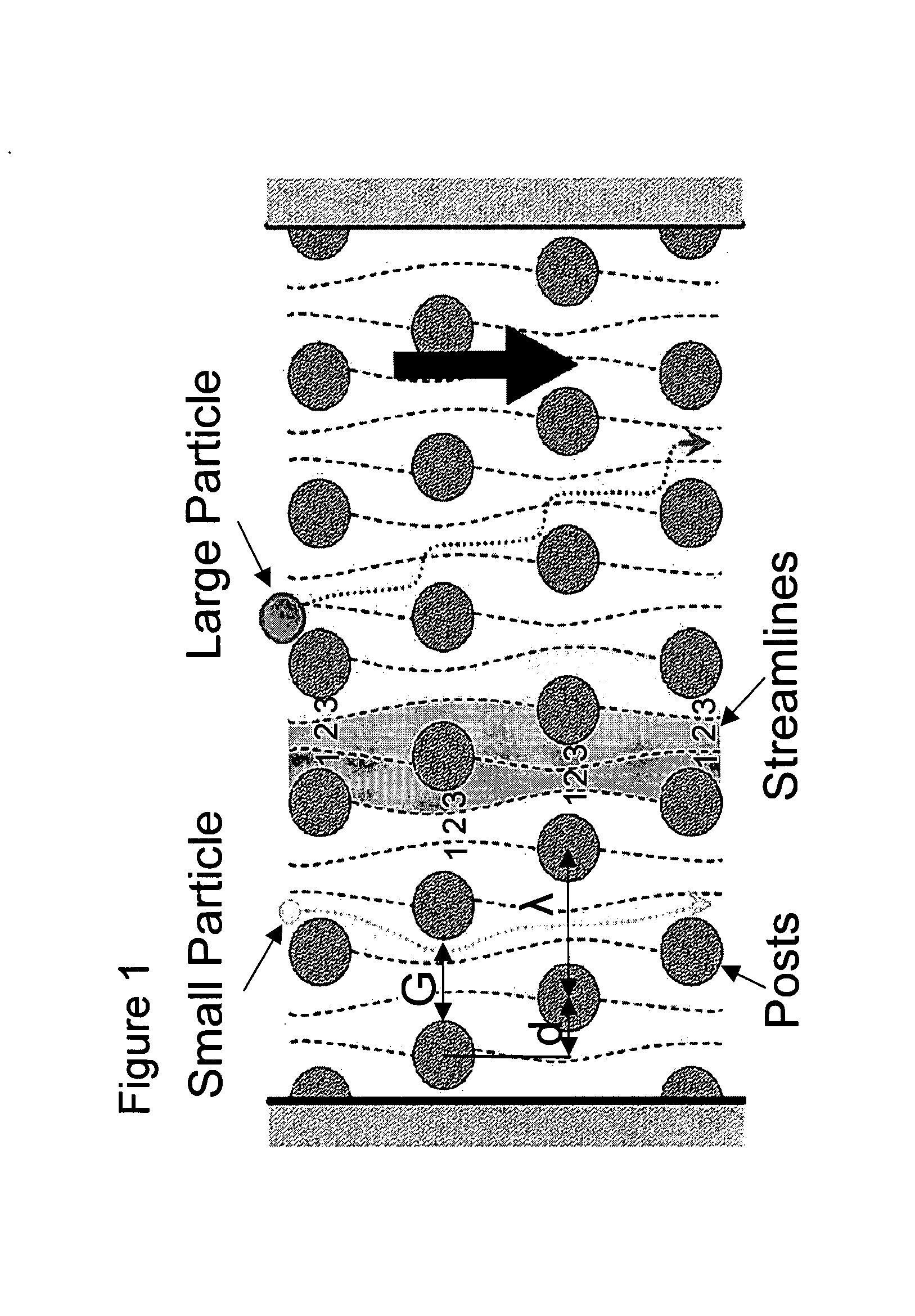 Apparatus and method for continuous particle separation