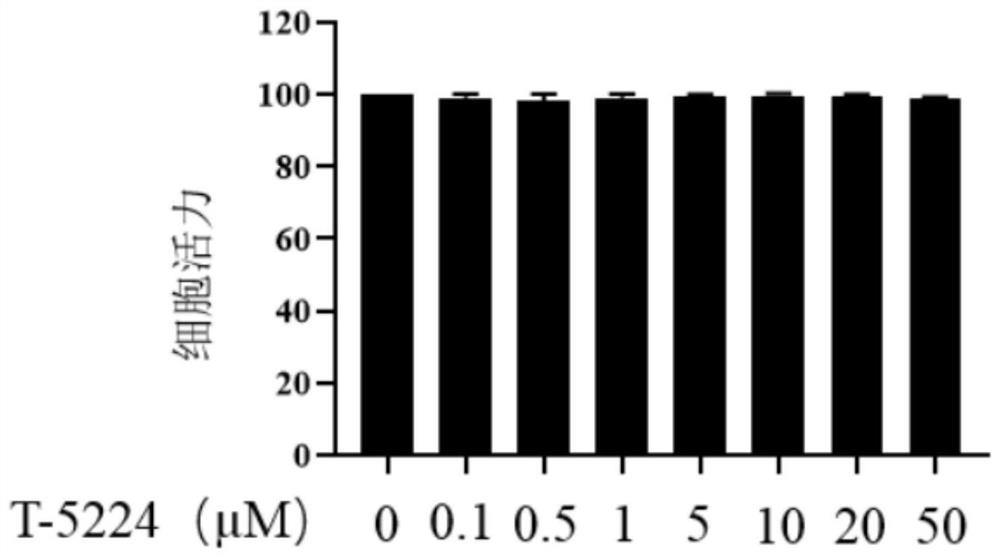 Application of a compound in the preparation of antiallergic drugs