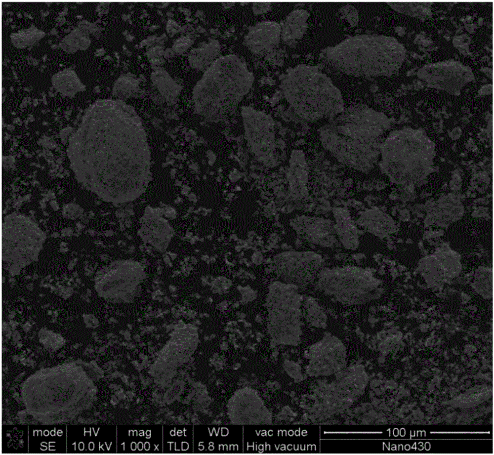 Nanometer composite structure feed and preparing method thereof