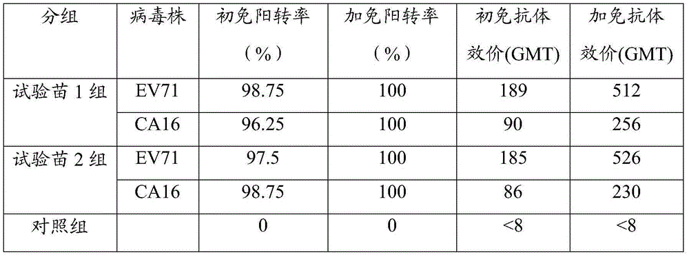 Bivalent hand-foot-and-mouth disease inactivated vaccine and preparing method thereof