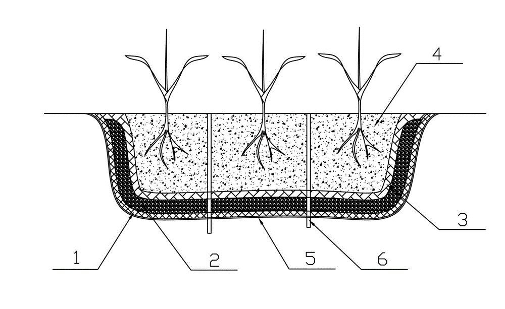 Method for in situ restoration of petroleum pollution through combination of pioneer plants on tidal bank and clam worms