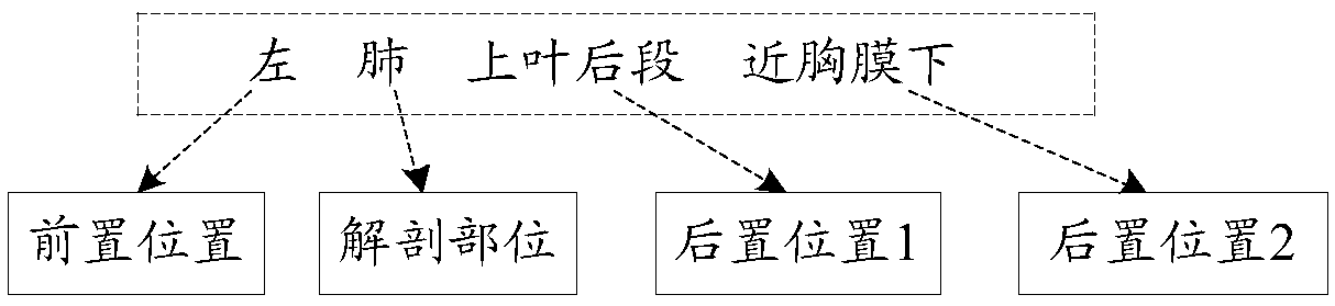 Structured processing method and system for medical examination data