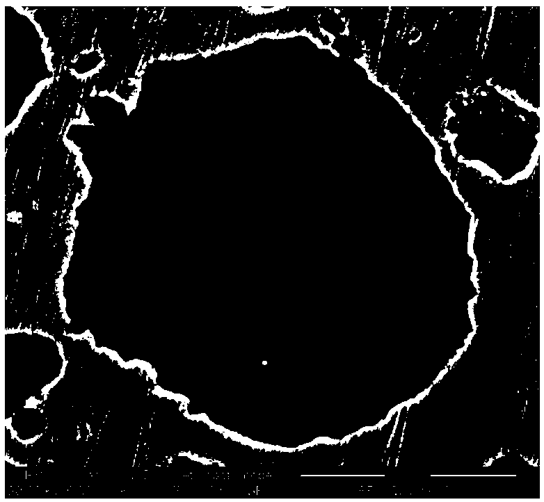 Preparation method of aluminum-silicon composite material for electronic packaging