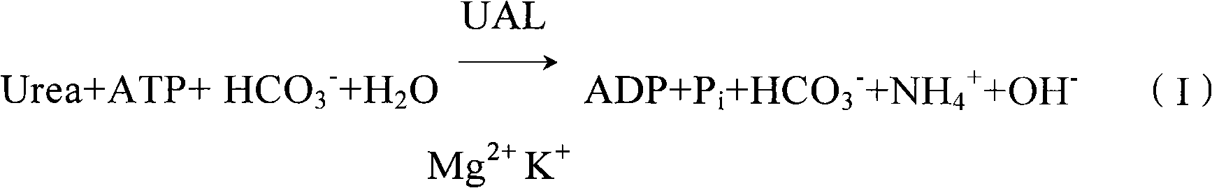 Clinic in vitro potassium determination reagent by enzyme method