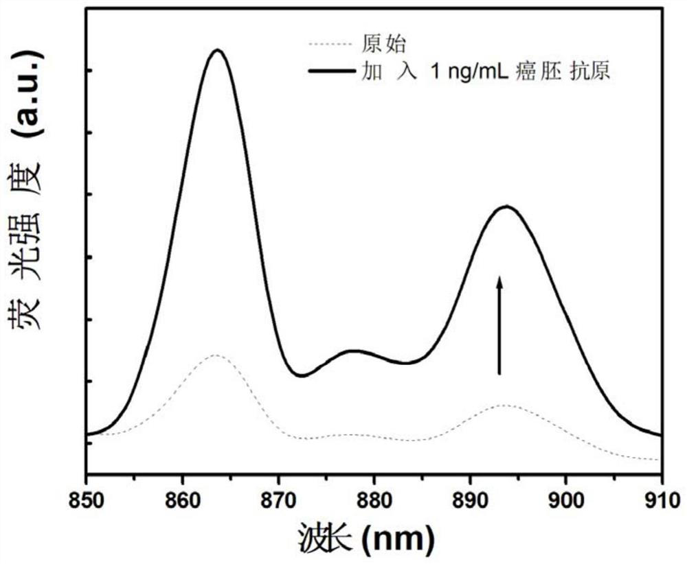 Carcino-embryonic antigen detection method