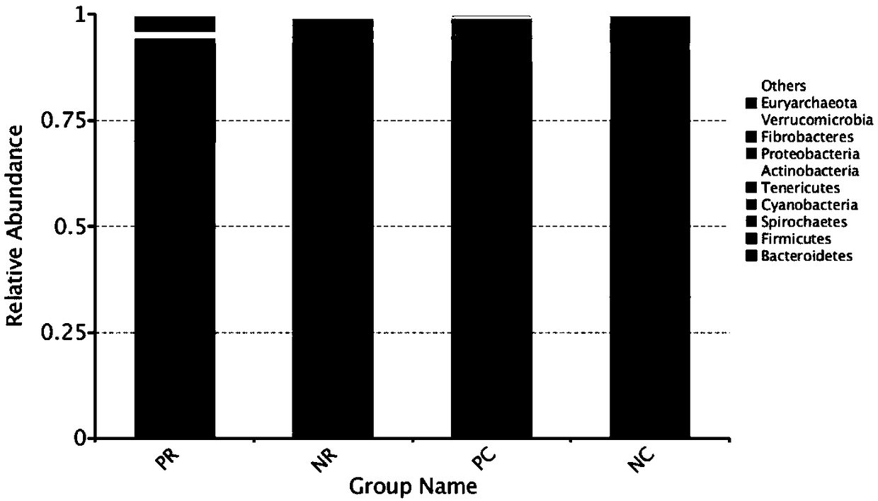 Total mixed ration for fattening sheep and production process and application thereof