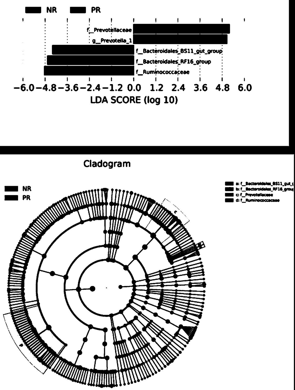 Total mixed ration for fattening sheep and production process and application thereof