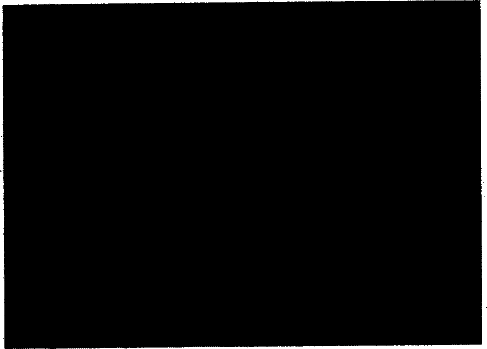 Ultrafine fibre preparation of taxol and method and apparatus for preparing the same