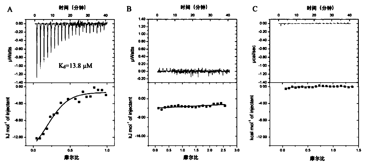 Compounds capable of killing trypanosoma brucei and their application in the treatment of trypanosomiasis