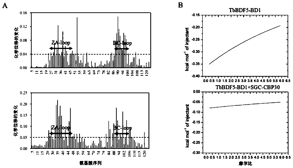 Compounds capable of killing trypanosoma brucei and their application in the treatment of trypanosomiasis