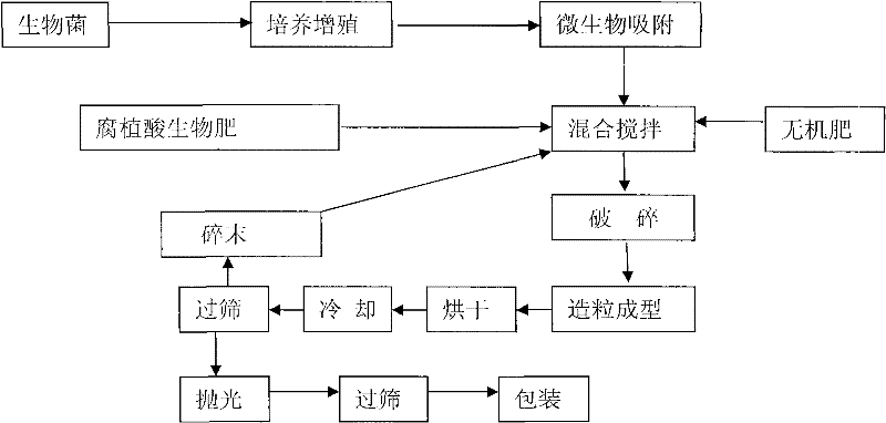 Humic acid biofertilizer and its preparation method