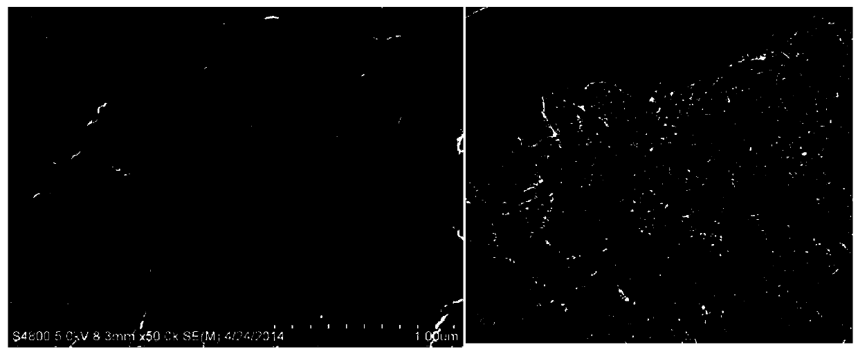 Graphene modification current collector prepared by employing plasma-assisted chemical vapor deposition and preparation method thereof