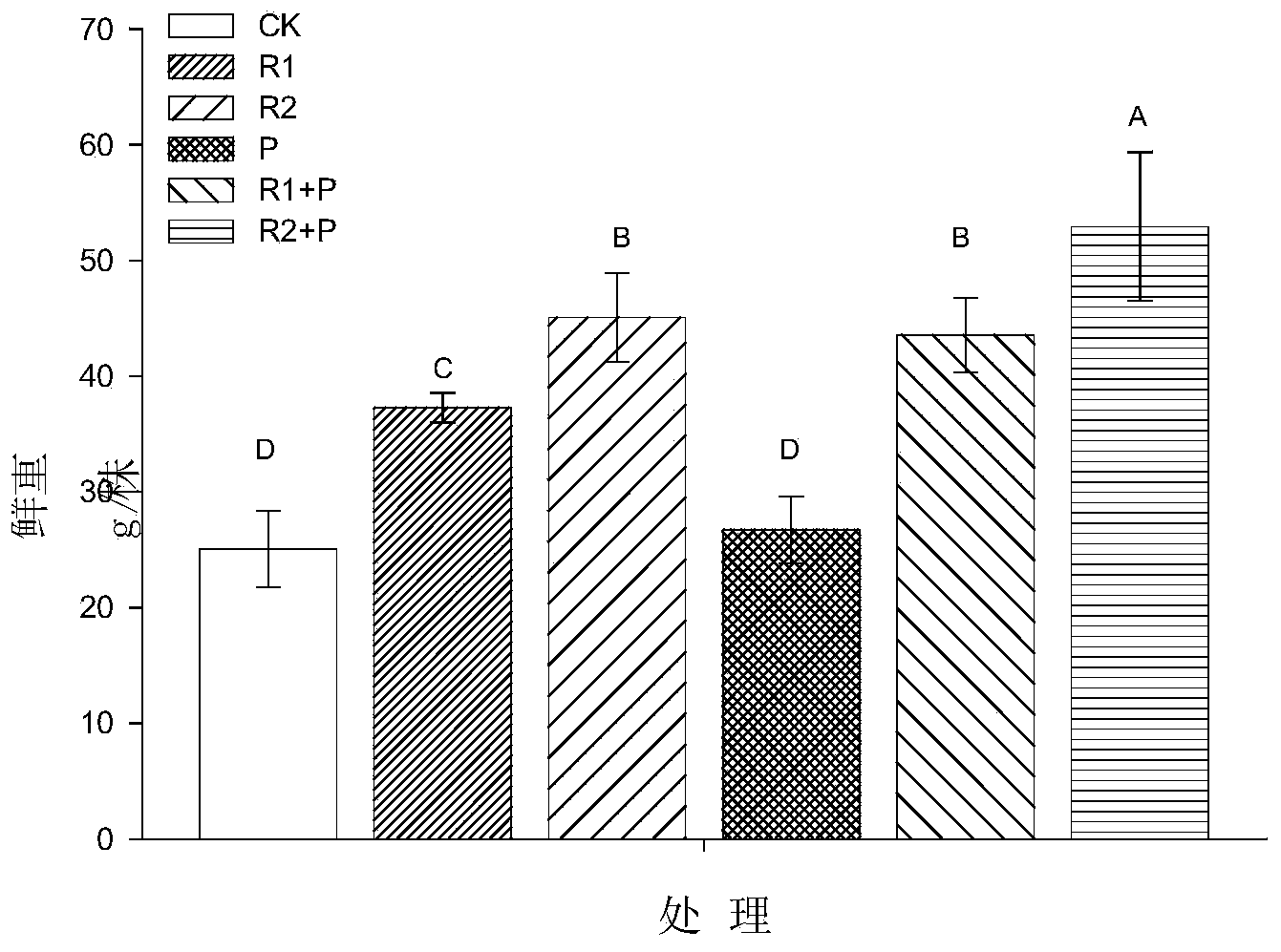 Penicillium chrysogenum CH03 strain and application thereof in restoring heavy metal pollution in soil