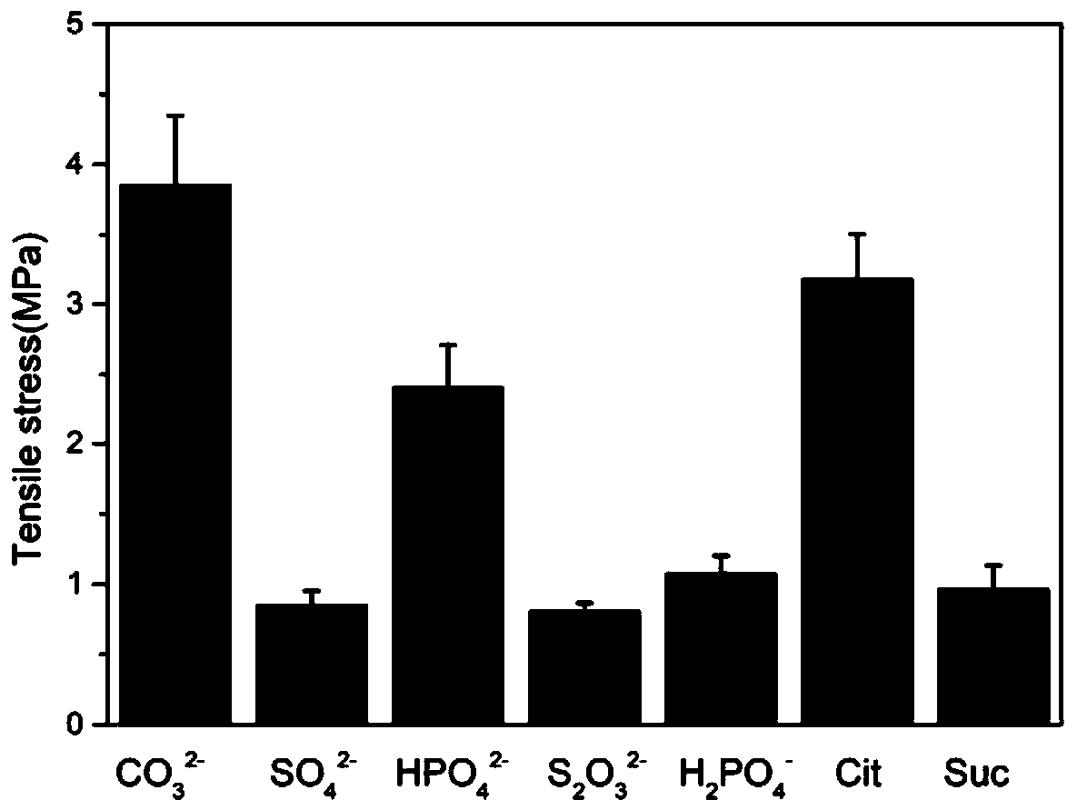 Preparation method of double-network chitosan hydrogel