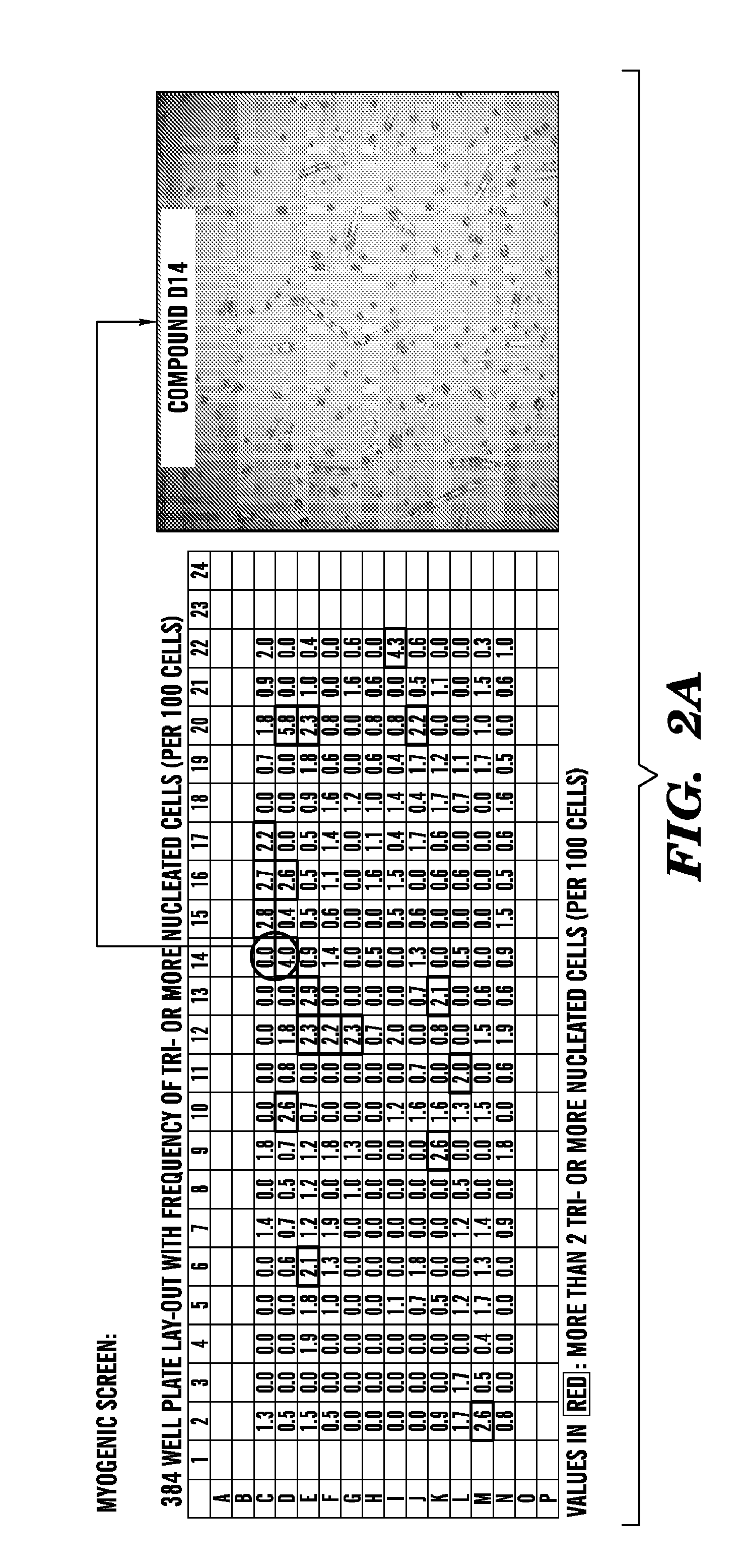 Assays, systems, and methods for obtaining personalized anabolic profiles