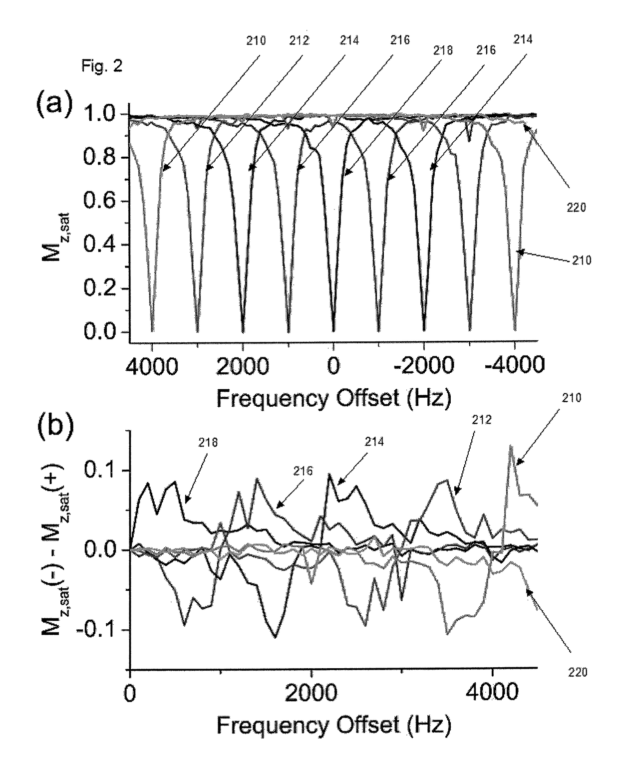 Apparatus, system, method and computer-readable medium for isolating chemical exchange saturation transfer contrast from magnetization transfer asymmetry under two-frequency RF irradiation