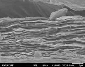 MXene nanosheet interlamellar spacing regulation method