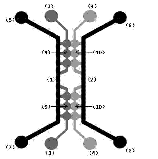 Micro-fluidic chip capable of producing stable concentration gradient and cell co-culture method