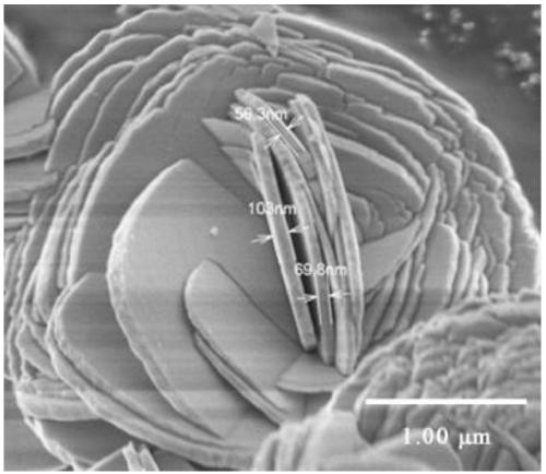 The preparation method of flower-shaped biocl photocatalyst and the prepared biocl photocatalyst and application