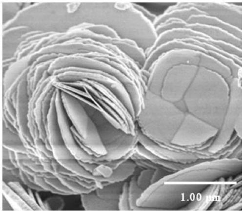 The preparation method of flower-shaped biocl photocatalyst and the prepared biocl photocatalyst and application