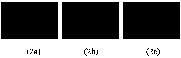 SAR Target Recognition Method Based on Cooperative Representation of Multi-scale Features