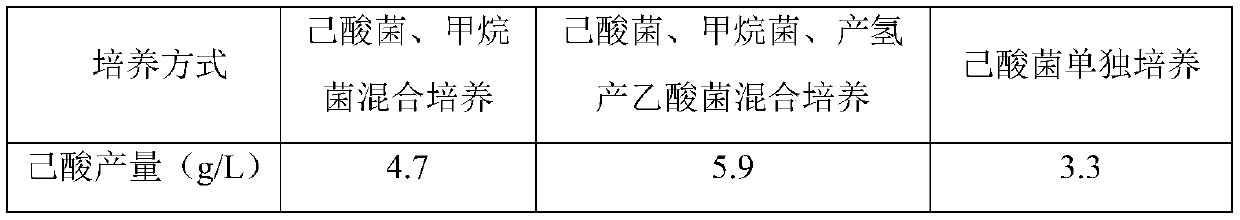 Composite caproic acid bacterium liquid for producing strength flavor type Baijiu and preparation method of composite caproic acid bacterium liquid