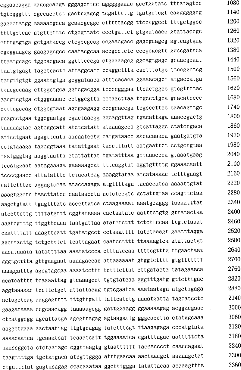 Method for producing N-acetylneuraminic acid by spore surface display system