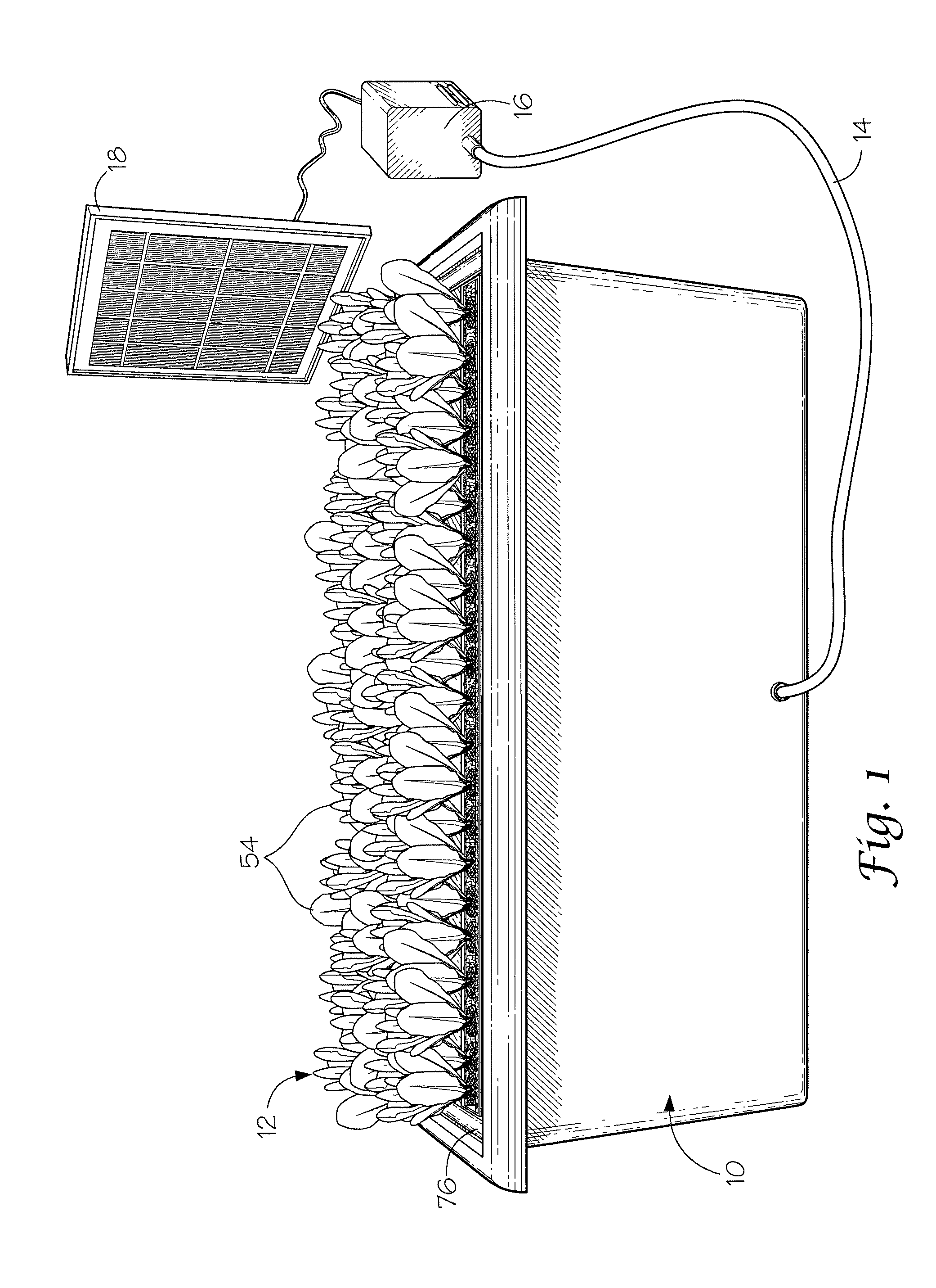 Hydroponic growing system