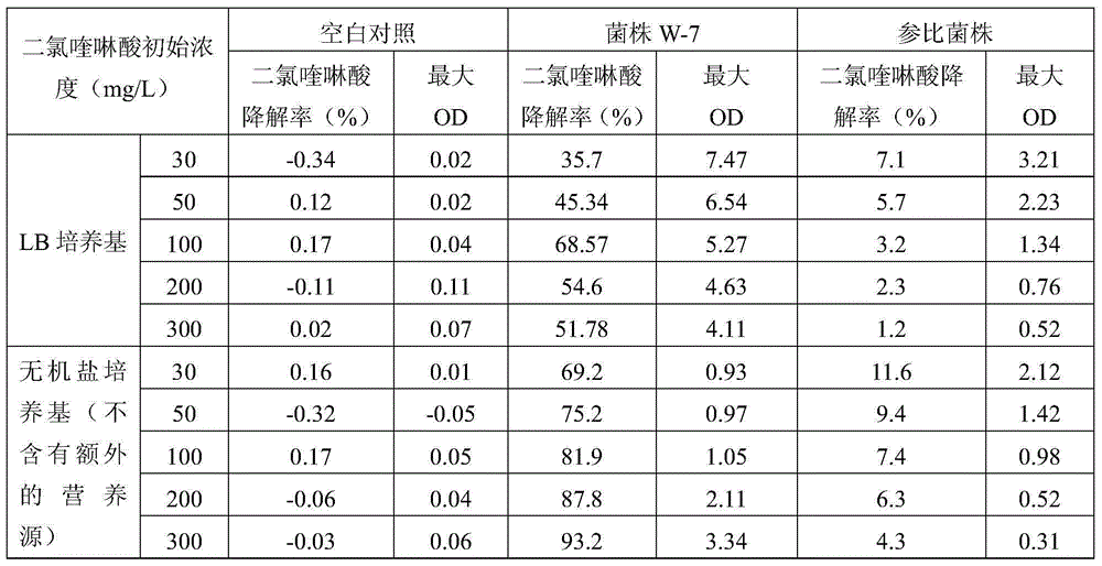 Pseudomonas denitrificans and microbial inoculum thereof, and application thereof in degradation of quinclorac