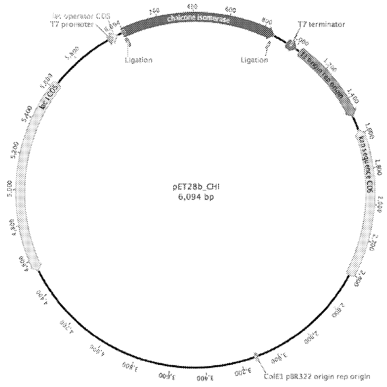 Method for biotechnological production of dihydrochalcones