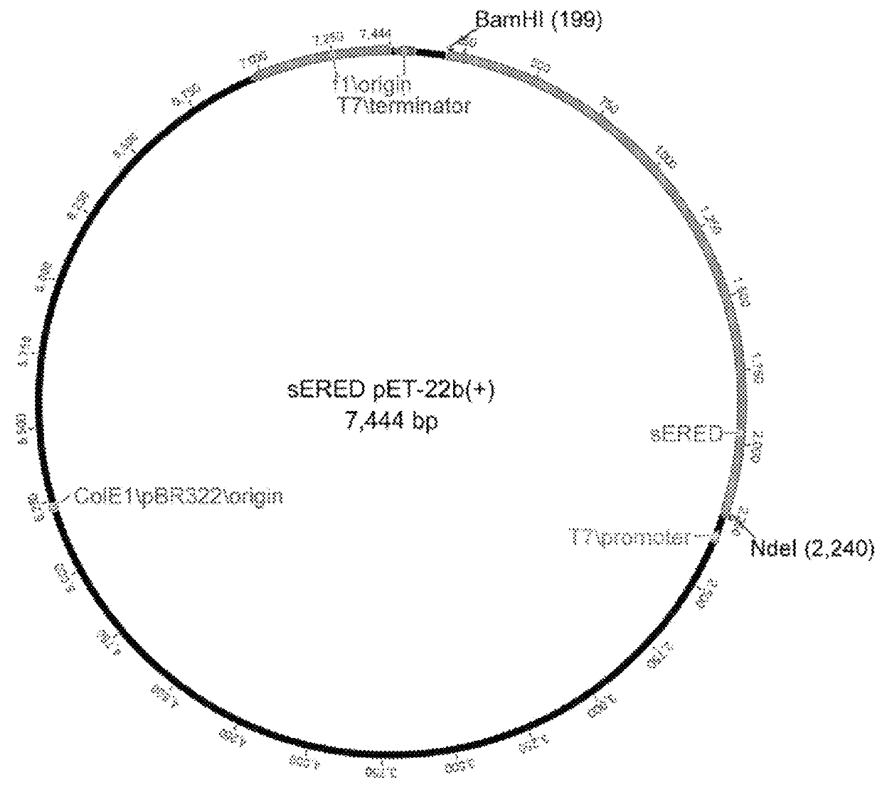 Method for biotechnological production of dihydrochalcones