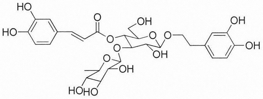 A method for separating and preparing verbascoside and mongoside from Budisma japonica