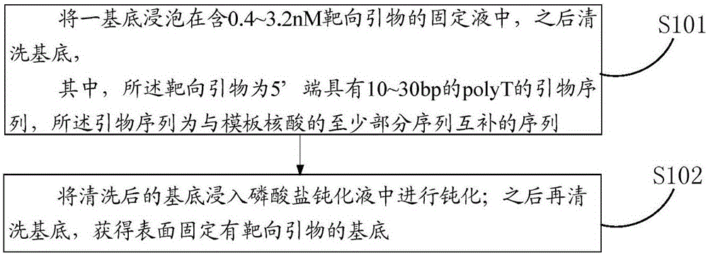 Fixing method of targeted primer in single-molecule targeted sequencing, single-molecule targeted sequencing reagent box and application