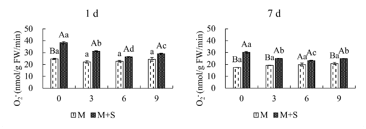 Application of exogenous melatonin to improvement of salt tolerance of beet seedlings