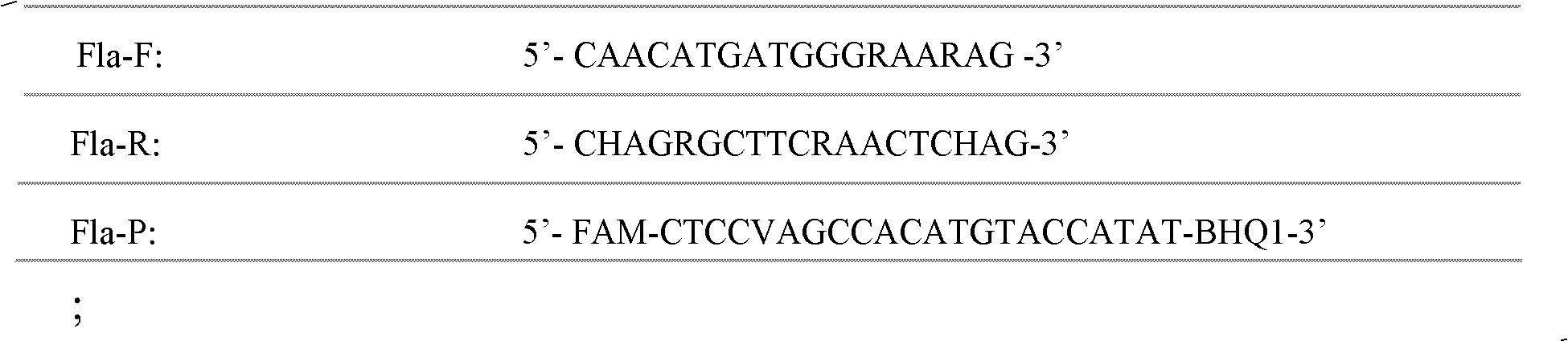 Non-diagnostic method for detecting flavivirus and alphavirus through double TaqMan probe real-time fluorescence RT-PCR