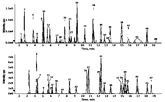 Method of rapidly and quantitatively analyzing 48 amino acids