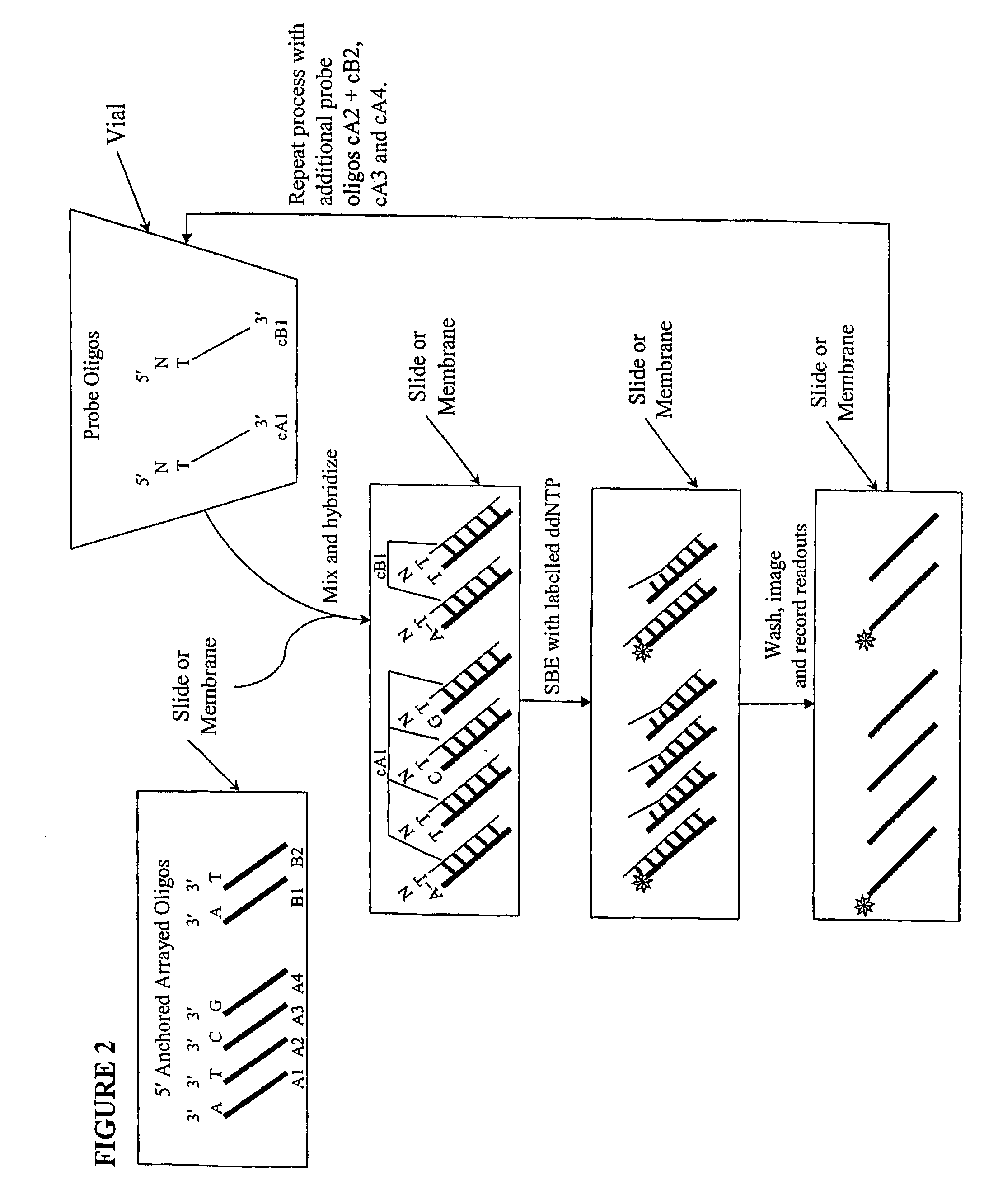 Quality control methods for arrayed oligonucleotides