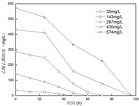 Trichoderma viridea LW-1 capable of degrading ethyl acetate and application of trichoderma viridea LW-1