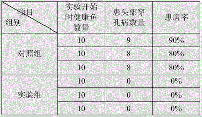 Feed additive for preventing perforated disease in head of angelfish and preparation method of feed additive