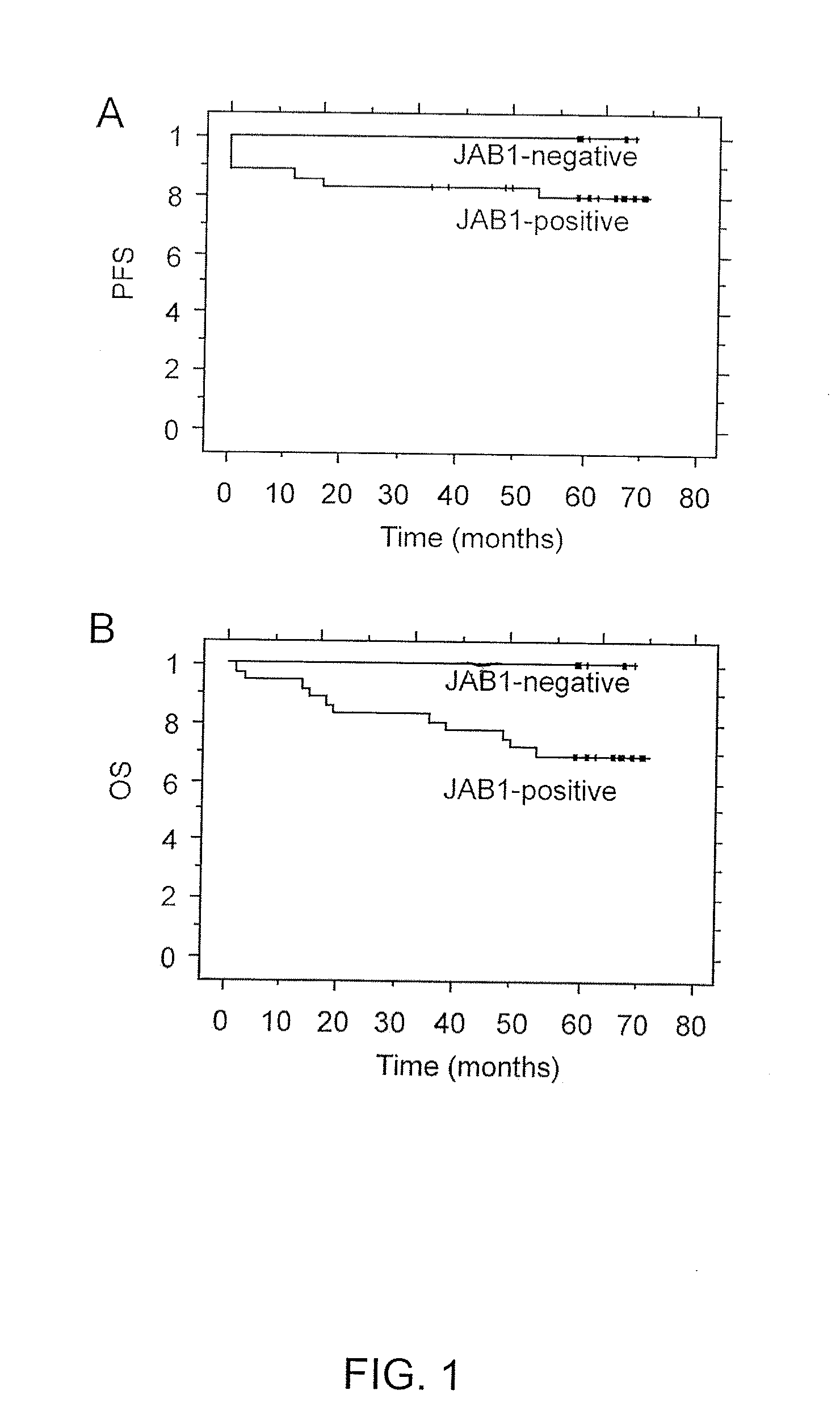 Jab1 as a prognostic marker and a therapeutic target for human cancer