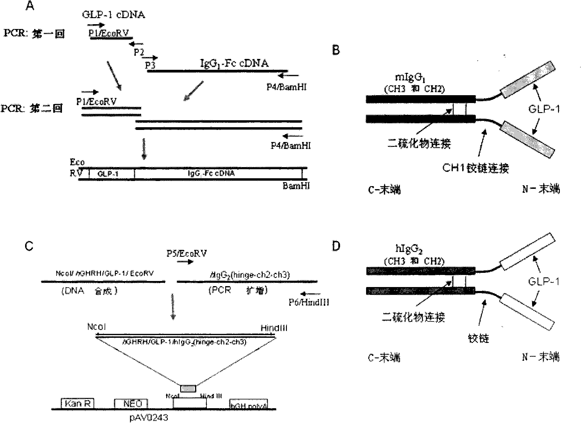 Composition and method for prevention and treatment of type I diabetes