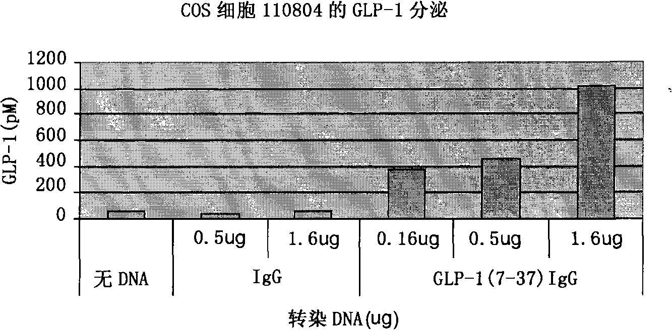 Composition and method for prevention and treatment of type I diabetes