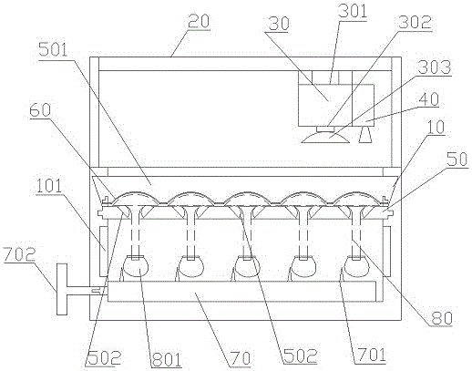 Agrocybe-cylindracea washing and processing device