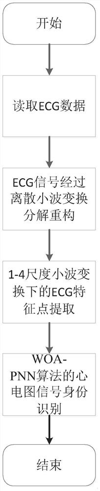 ECG identity recognition method based on WT and WOA-PNN algorithms