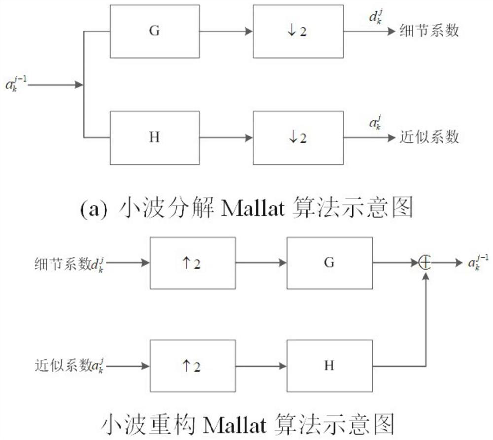 ECG identity recognition method based on WT and WOA-PNN algorithms